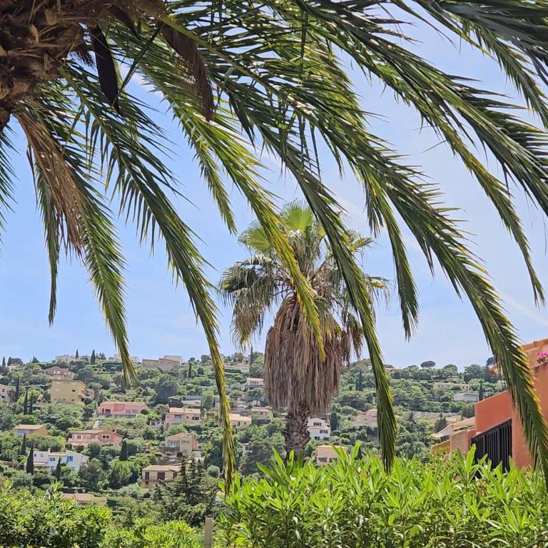 Le Studio Sur La Côte - Monolocale con Vista Mare - 10