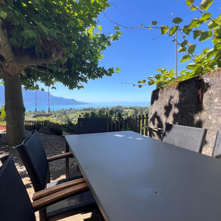 La Vigneronne, Chailly-Montreux - Apartment mit 2 Schlafzimmern - 1