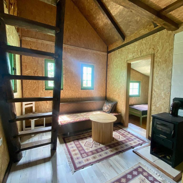 Cottages of Nišići - Brvnara sa 1 Spavaćom Sobom - 9
