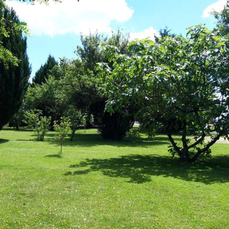 Maison de Campagne à 2 min du zoo de Beauval - Two-Bedroom House - 9