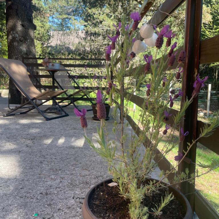 Moonica Rujiste - Kuća sa 2 Spavaće Sobe - 7