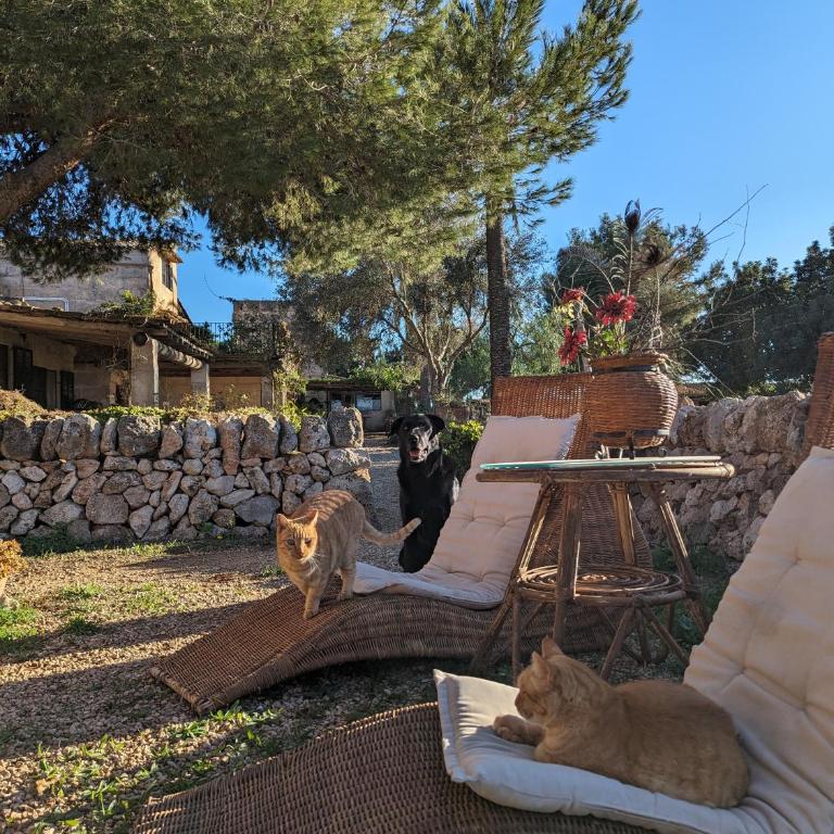 Agroturismo Finca Sant Blai - Bungalow Familial - 20