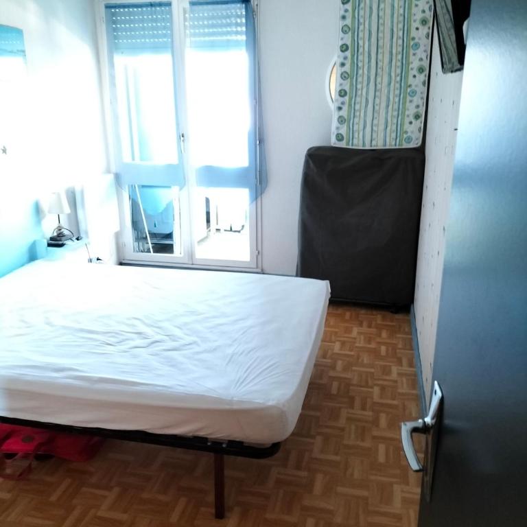 Dalhias - Appartement 1 Chambre - 1