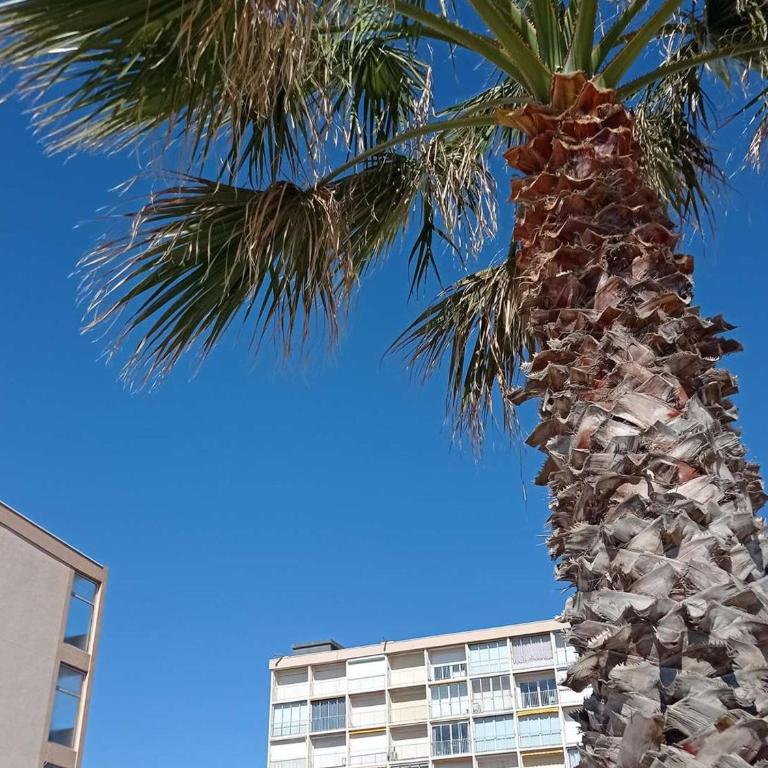 Studio Cabine - Accès Plage - Ascenseur - Parking - FR-1-308-207 - Monolocale - 14