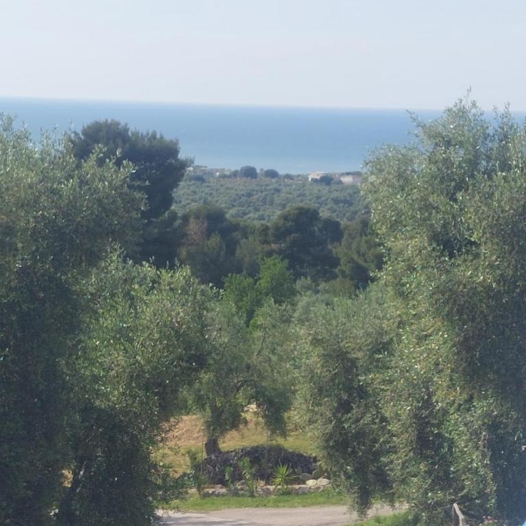 Dimora Anna - Appartamento - 21