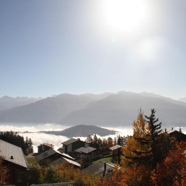 Chalet Alpage, Anzère - Superior Chalet - 28