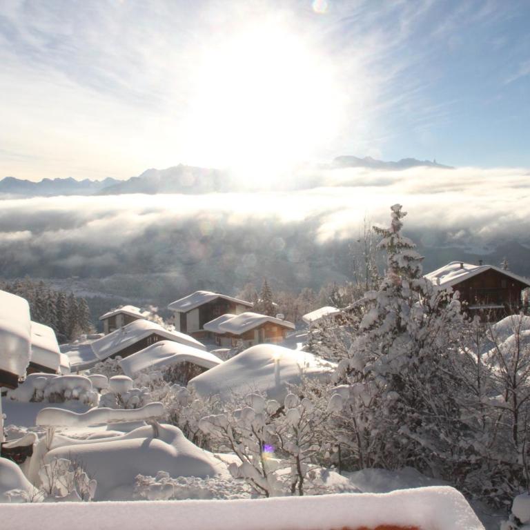 Chalet Alpage, Anzère - Superior Chalet - 31