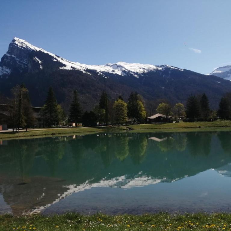 Chalet du Bief , Morillon 4-6 pers - Chalet - 34