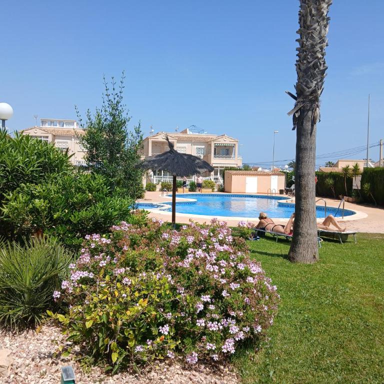 Solarium, pool & views in Playa Flamenca - Apartamento de 2 dormitorios con terraza y vistas al mar - 4