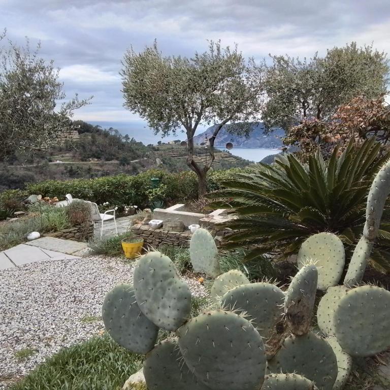 Incanto-Romantic Sea-View Hideaway With-Private Parking&300mq Garden - One-Bedroom Apartment - 28