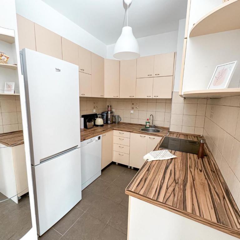 Sunny Center - Apartman sa 1 Spavaćom Sobom - 8