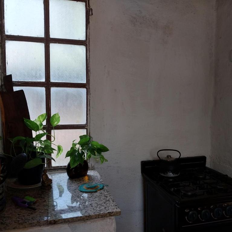 Depto del Monte - One-Bedroom House - 2