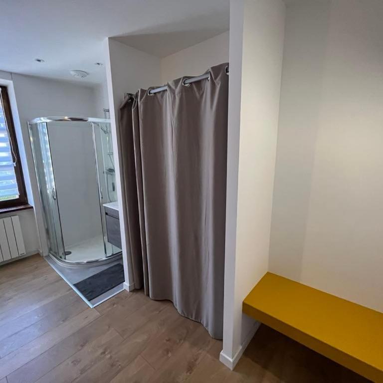 Superbe appartement atypique au cœur de Mulhouse - Apartment mit 3 Schlafzimmern - 2