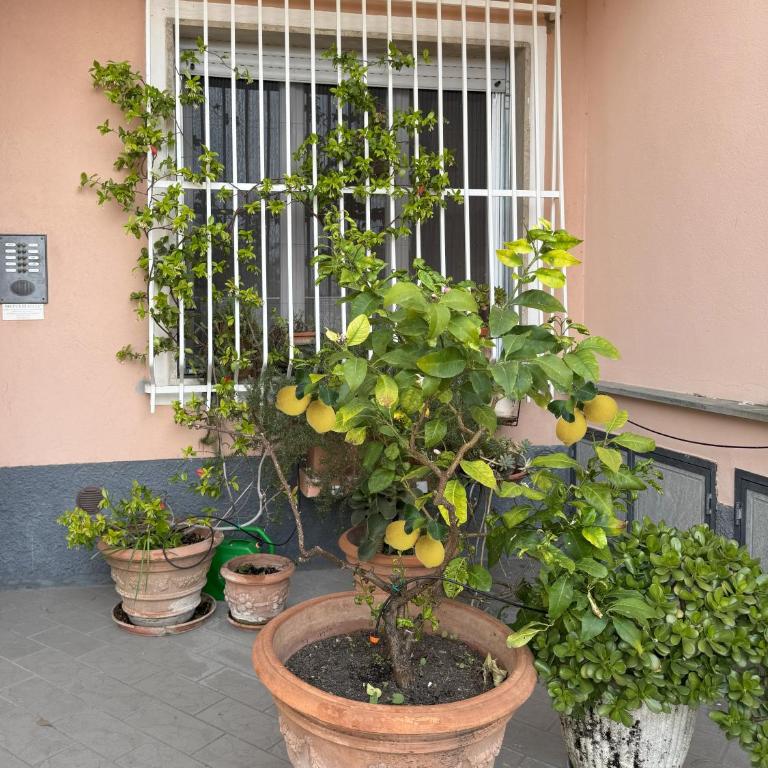 BLU DI LERICI - zona tranquilla due passi dal mare - Appartamento con 3 Camere da Letto - 31