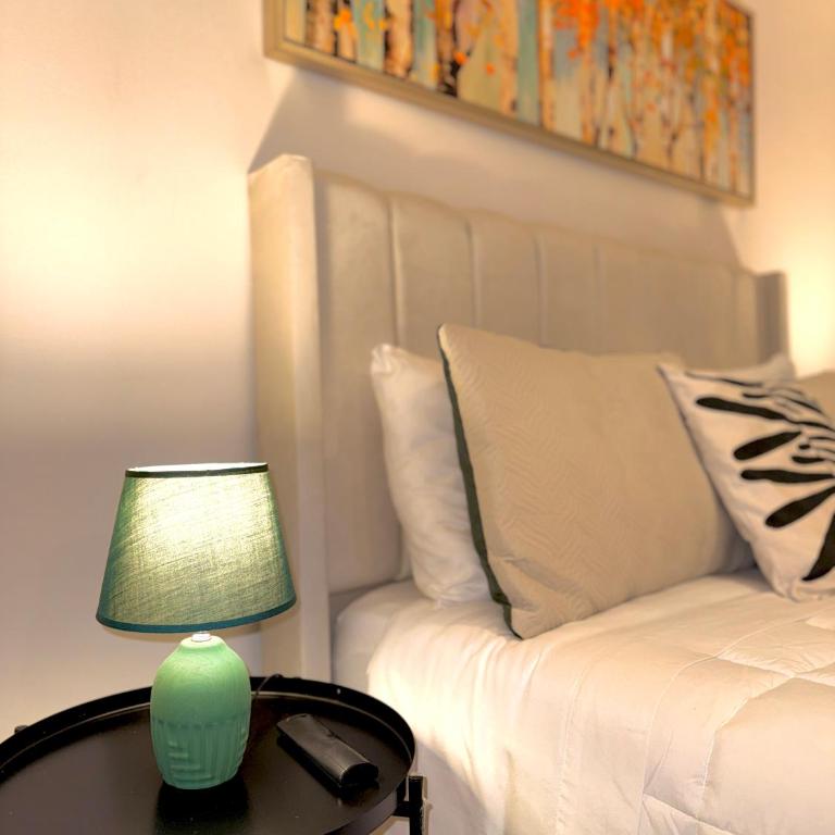 Amplio y cómodo Departamento en el Corazón de Santiago con estacionamiento gratis - Apartamento de 2 dormitorios - 15