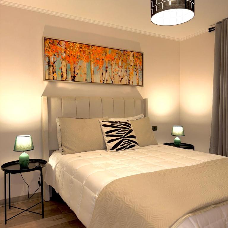 Amplio y cómodo Departamento en el Corazón de Santiago con estacionamiento gratis - Apartamento de 2 dormitorios - 17