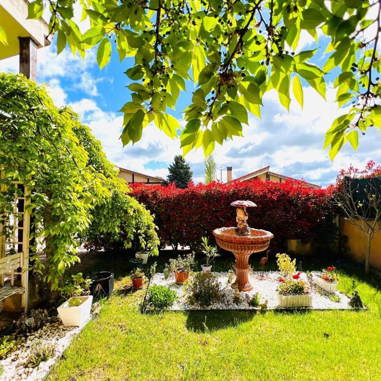 El Encanto de las Navas - Casa de 3 dormitorios - 6