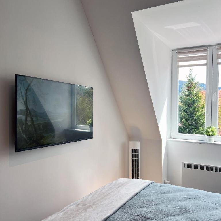 Oaza Kopaonik - One-Bedroom Apartment - 14