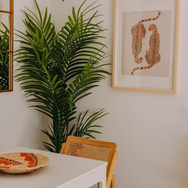 Playa y Palmera - Apartamento de 1 dormitorio - 13