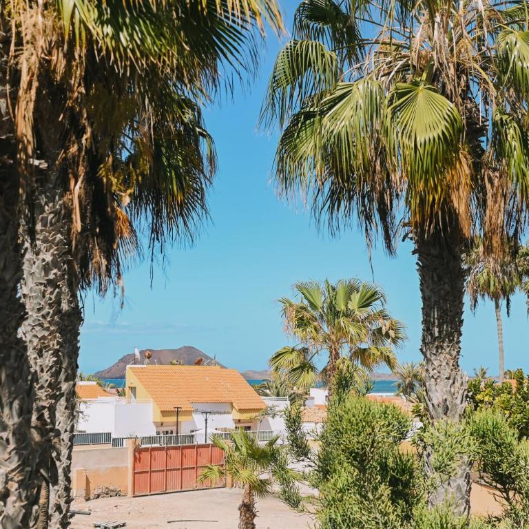 Playa y Palmera - Apartamento de 1 dormitorio - 18