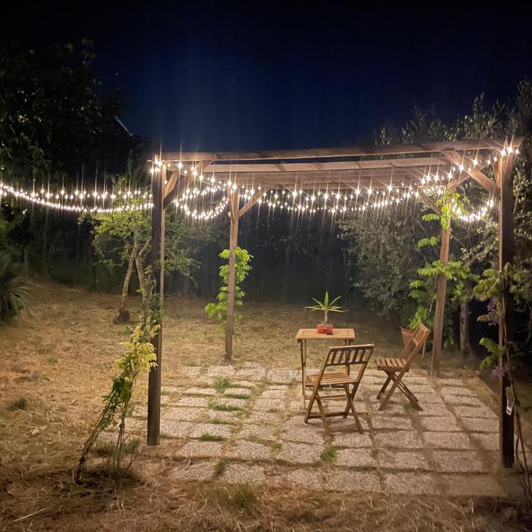 La Casa dei Fichi - Appartamento con 1 Camera da Letto - 15
