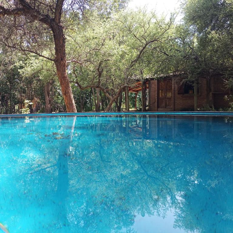 Tierra linda - One-Bedroom House - 10
