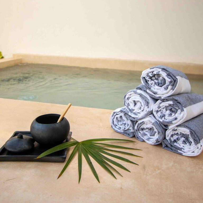 Tulum Pent house suite with plunge pool - Apartamento de 1 dormitorio - 27