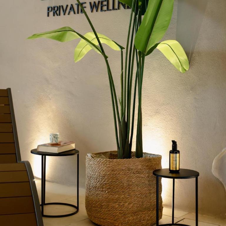 La Maison - Private wellness -Suite - Casa Vacanze - 12