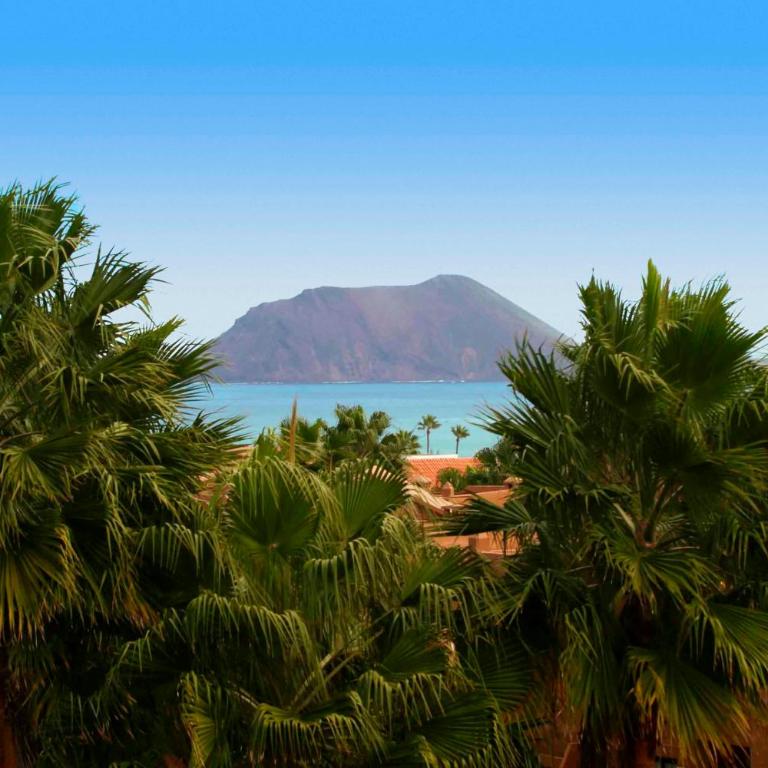 Playa y Palmera - Apartamento de 1 dormitorio - 25