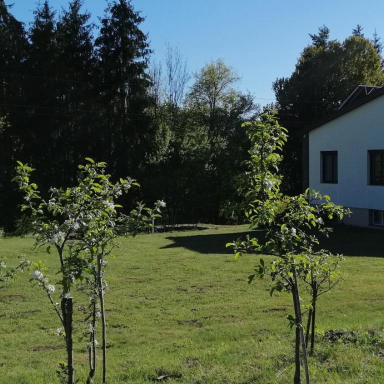 Ferienhaus Seental - Villa mit 3 Schlafzimmern - 10