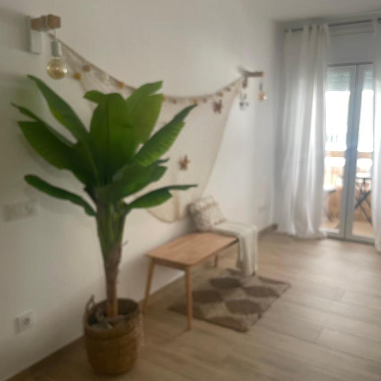 Apartament Castell de Tossa- a 100m playa-Parking - Apartamento de 2 dormitorios - 8