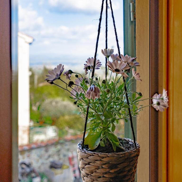 La Casa dei Fichi - Appartamento con 1 Camera da Letto - 22