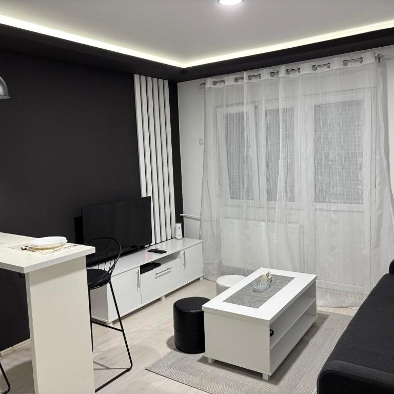 Apartman Kostić - One-Bedroom Apartment - 4