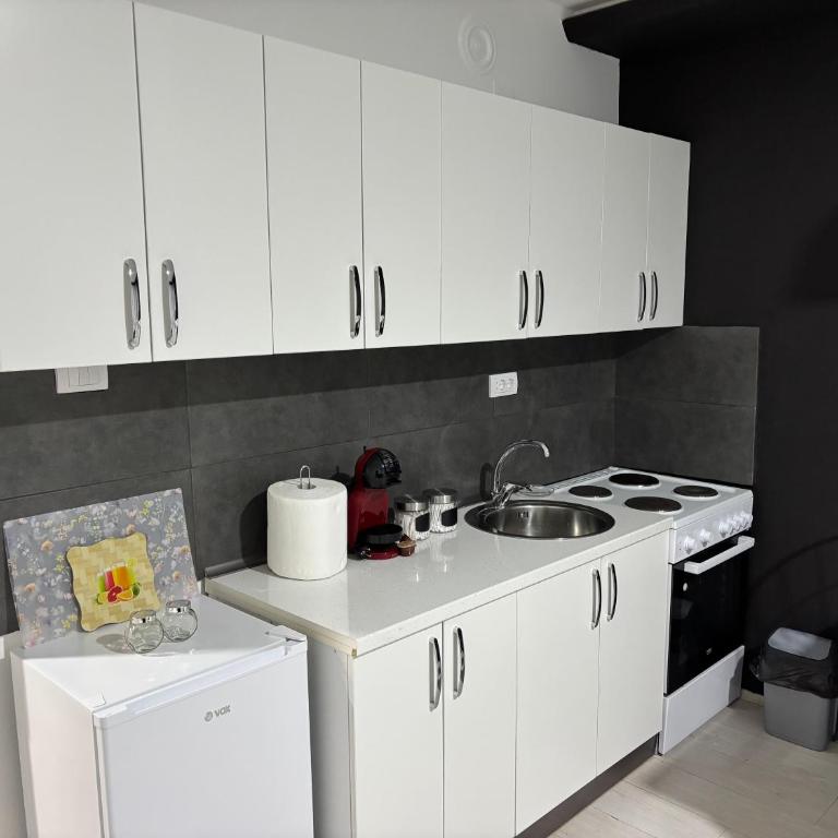 Apartman Kostić - One-Bedroom Apartment - 12