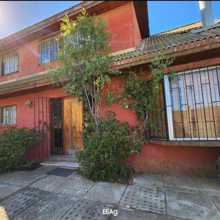 House in Canelo Algarrobo - Four-Bedroom House - 16
