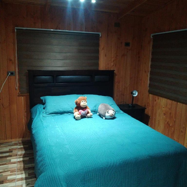 Cabaña privada - Casa con 1 dormitorio - 8