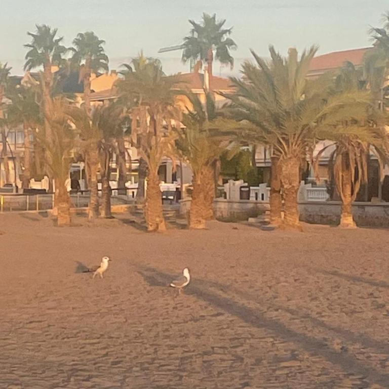 Apartamento Santa Pola, en Playa del Tamarit con piscina. - Apartamento de 2 dormitorios - 24