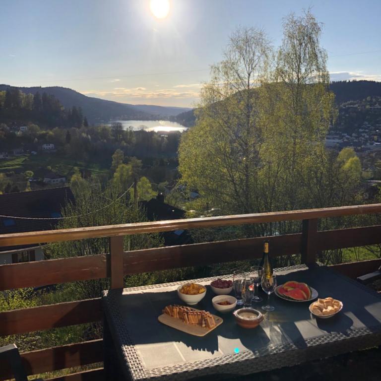 F3 Superbe vue lac, grand balcon, ambiance nature - Appartement 2 Chambres - 1