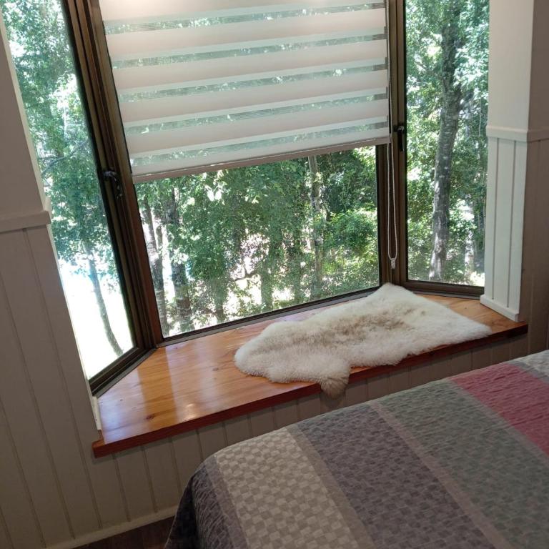 Pucon dpto - Apartamento de 1 dormitorio - 12