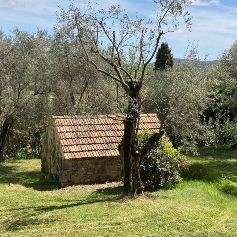Domaine Le Font Figuière - Appartement 1 Chambre - 6