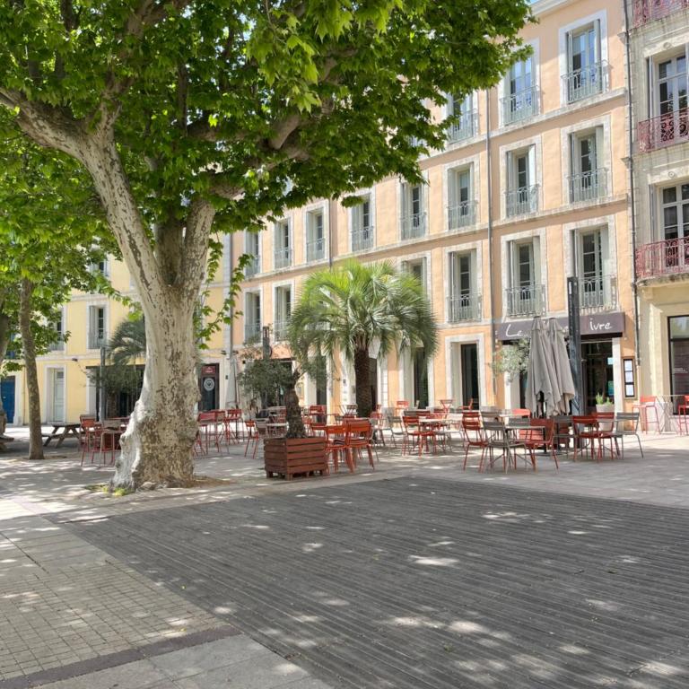 Joli appartement hypercentre T2, classé meublé de tourisme 3 avec parking gratuit - Appartement 1 Chambre - 42