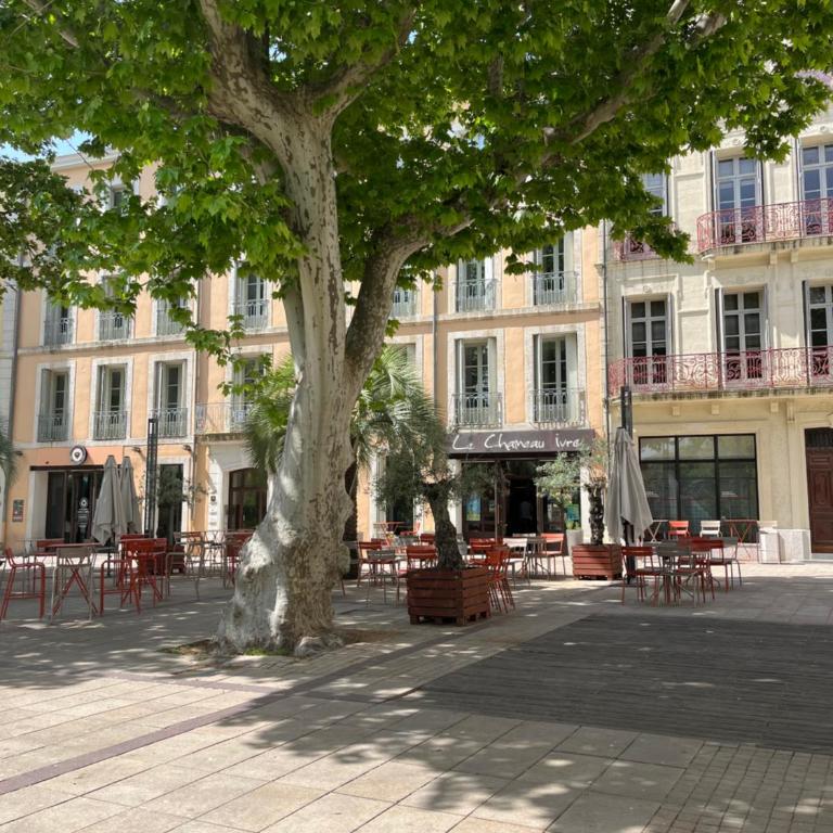Joli appartement hypercentre T2, classé meublé de tourisme 3 avec parking gratuit - Appartement 1 Chambre - 41