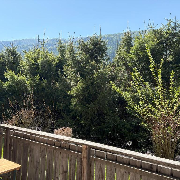 Alpen family apartment Bergfreunde near skilift and golf course - Apartment mit 2 Schlafzimmern - 22