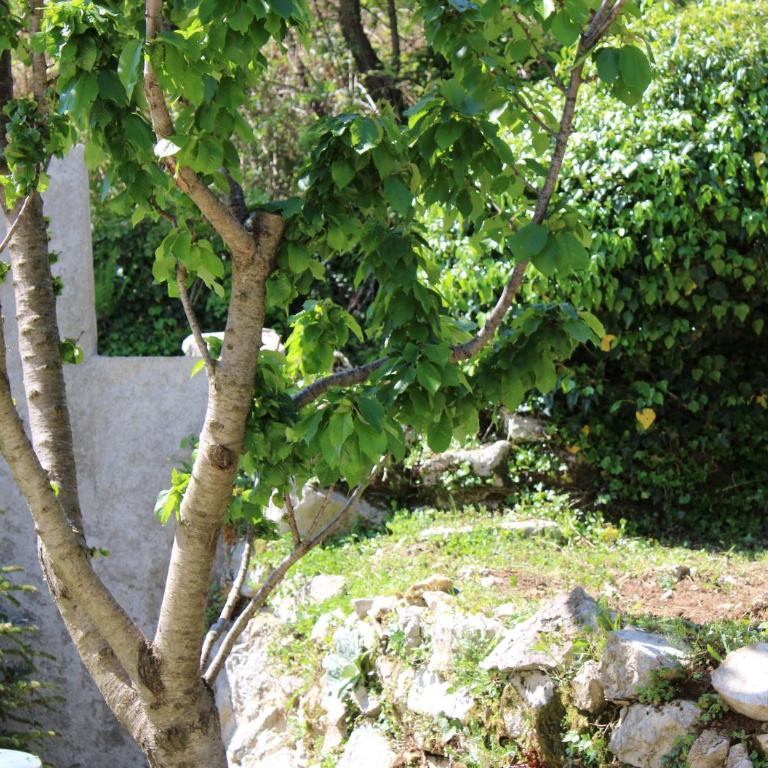 Spacious Holiday Home - Serene Village Near The Coast - Kuća sa 3 Spavaće Sobe - 6
