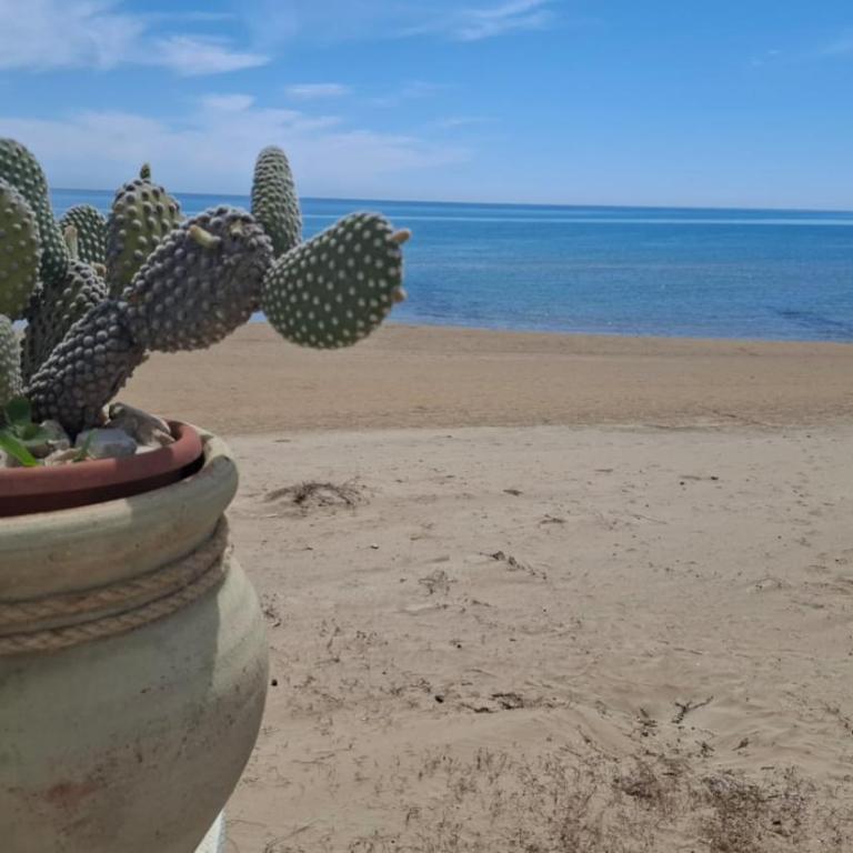Villa Punta Piccola sul mare - Ferienhaus - 61