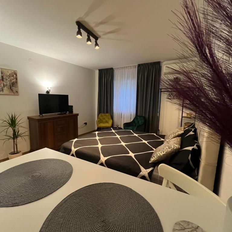 Downtown Republic square Apartment - Apartman sa 1 Spavaćom Sobom - 2