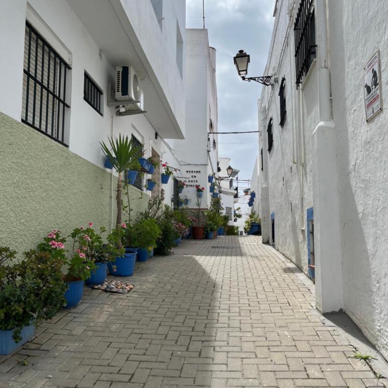 Casa Jurel - Apartamento de 2 dormitorios - 32