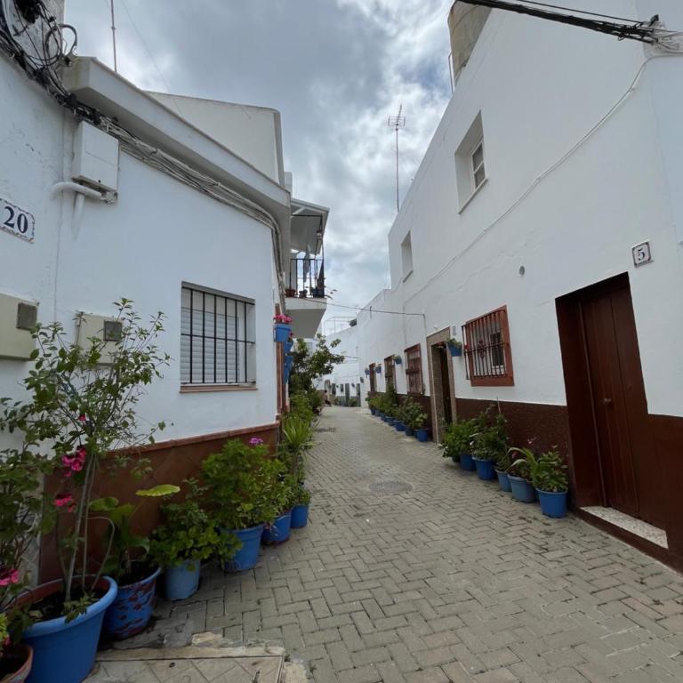 Casa Jurel - Apartamento de 2 dormitorios - 33