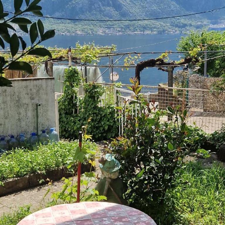Cute studio with garden and terrace,by the sea - Studio sa Terasom - 1