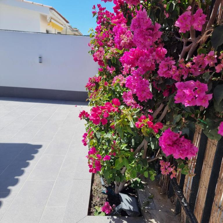 Espacioso Bungalow 2 dormitorios en Maspalomas - Two-Bedroom Apartment - 16